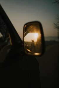 patrik laszlo uZ9Vad5tVHk unsplash scaled